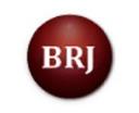 BRJ Group  logo